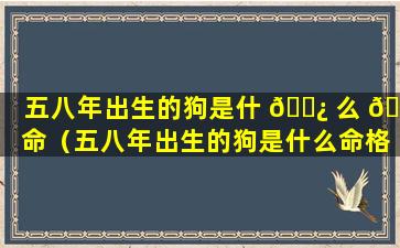 五八年出生的狗是什 🌿 么 🦍 命（五八年出生的狗是什么命格）